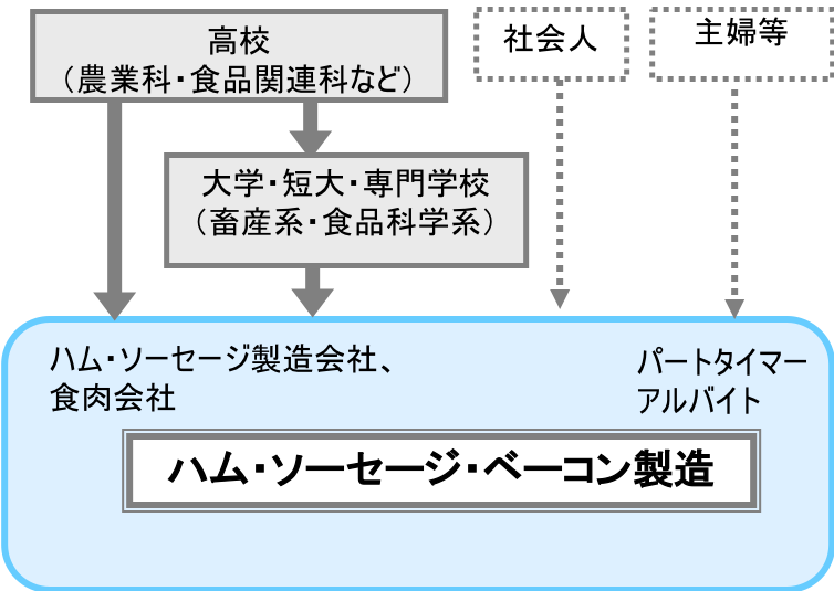 ハム・ソーセージ・ベーコン製造