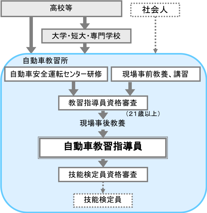 自動車教習指導員 職業詳細 職業情報提供サイト 日本版o Net
