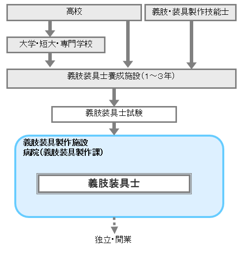 義肢装具士 - 職業詳細 | job tag（職業情報提供サイト（日本版O-NET））