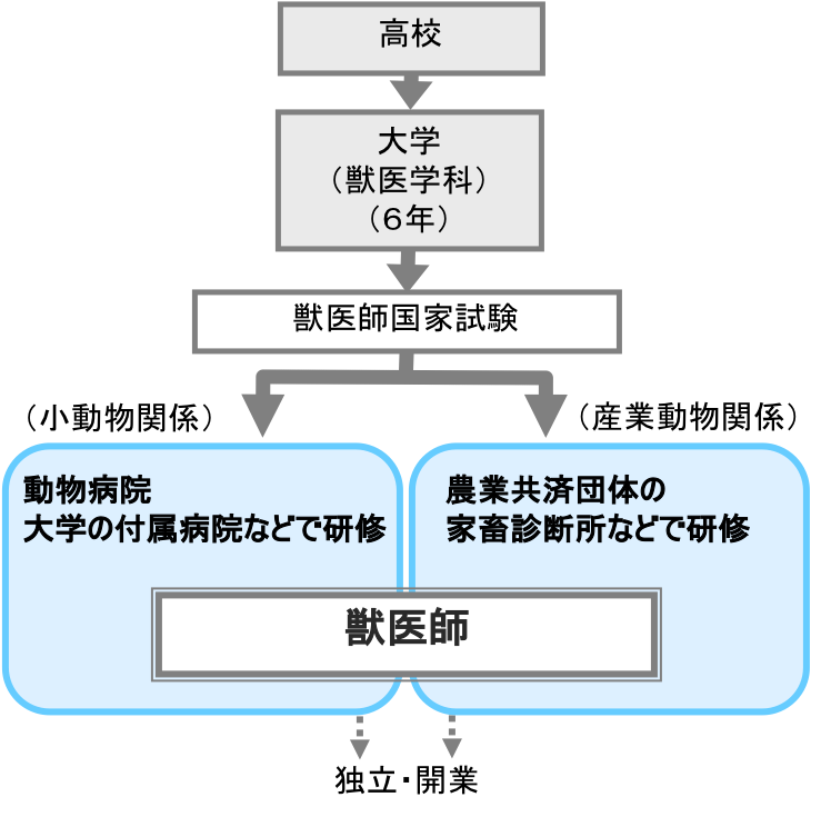 獣医師 職業詳細 Job 職業情報提供サイト 日本版o Net