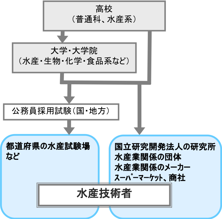 水産技術者 職業詳細 職業情報提供サイト 日本版o Net