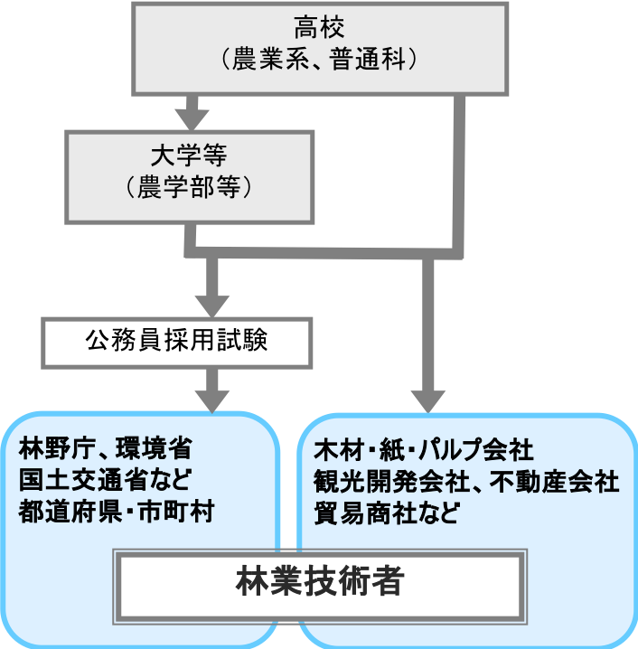 林業技術者