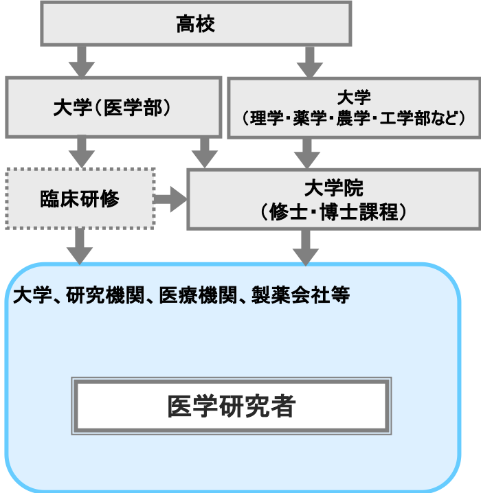 医学研究者