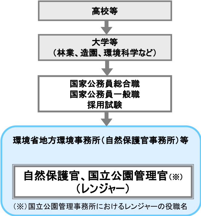 自然保護官 レンジャー 職業詳細 職業情報提供サイト 日本版o Net