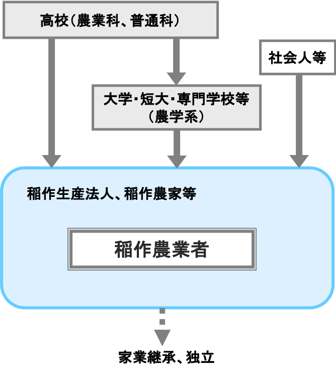 稲作農業者