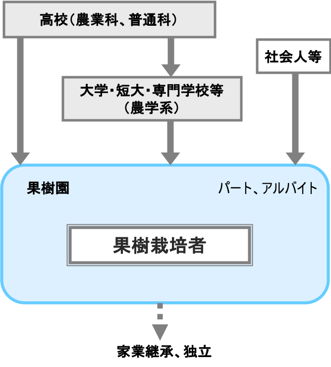 果樹栽培者