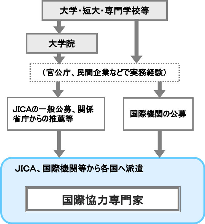 国際協力専門家 職業詳細 職業情報提供サイト 日本版o Net