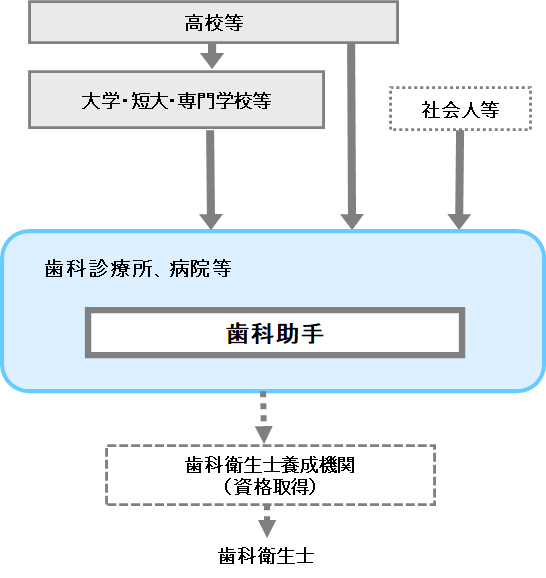 歯科助手