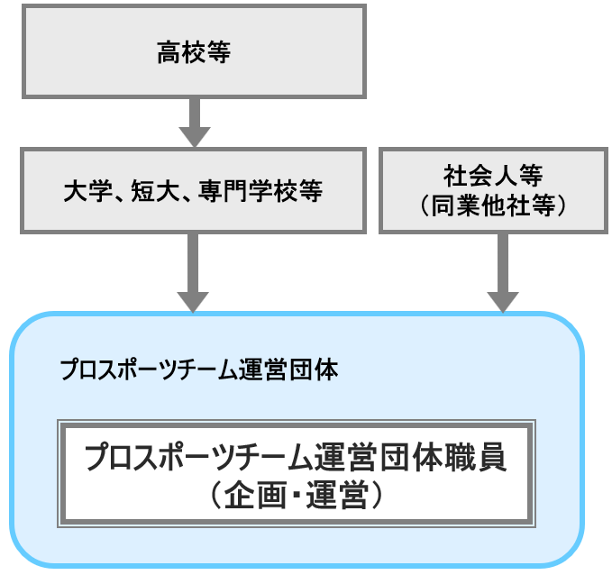 プロスポーツ運営団体職員（企画・運営）